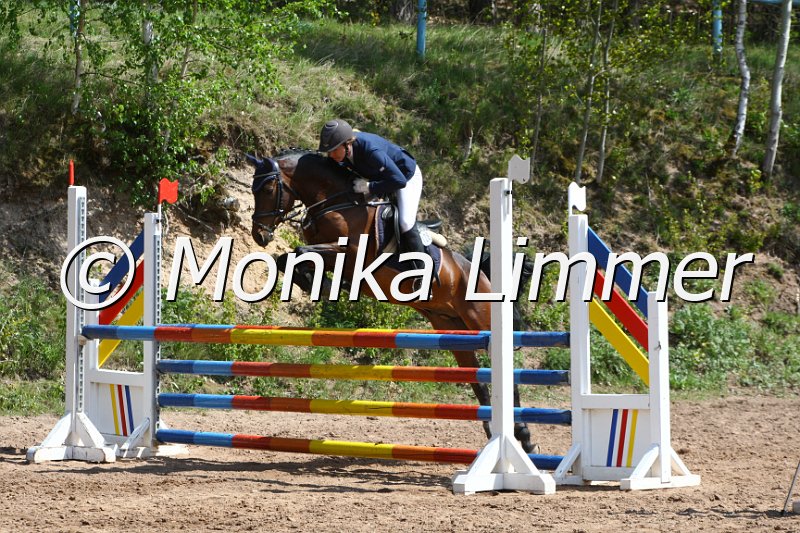 004M1964_Hartmut_Springpferde A xx.JPG